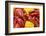 Crayfish Boil--=Viktor=--Framed Photographic Print