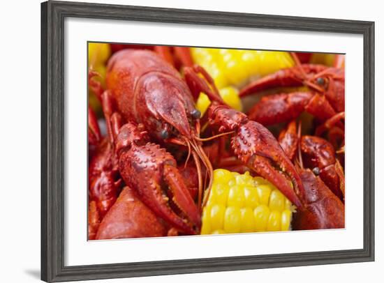 Crayfish Boil--=Viktor=--Framed Photographic Print