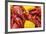 Crayfish Boil--=Viktor=--Framed Photographic Print