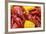 Crayfish Boil--=Viktor=--Framed Photographic Print