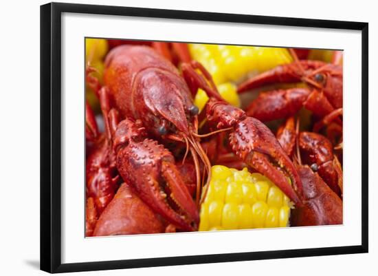 Crayfish Boil--=Viktor=--Framed Photographic Print