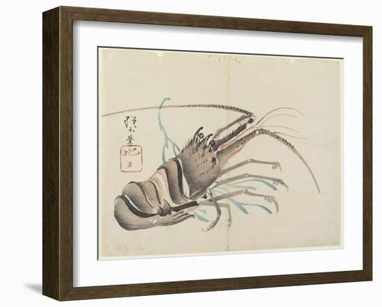 Crayfish, C. 1830-Hogyoku-Framed Giclee Print