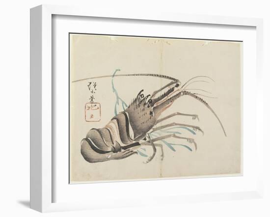 Crayfish, C. 1830-Hogyoku-Framed Giclee Print