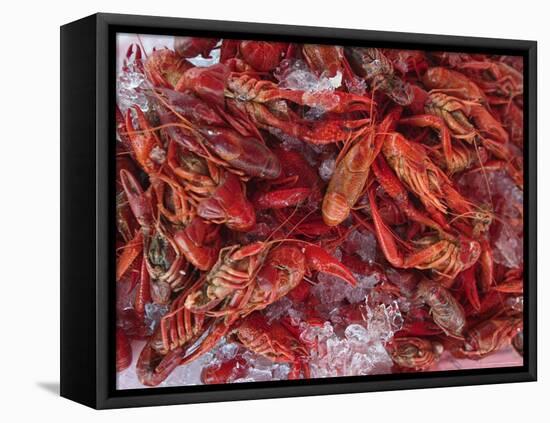 Crayfish in Bergen's Fish Market, Norway-Russell Young-Framed Premier Image Canvas
