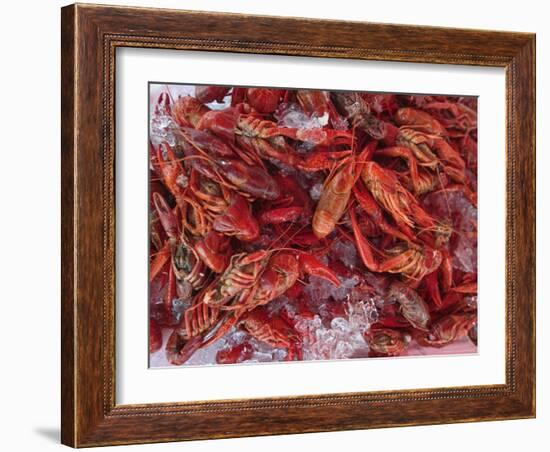 Crayfish in Bergen's Fish Market, Norway-Russell Young-Framed Photographic Print