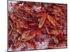 Crayfish in Bergen's Fish Market, Norway-Russell Young-Mounted Photographic Print