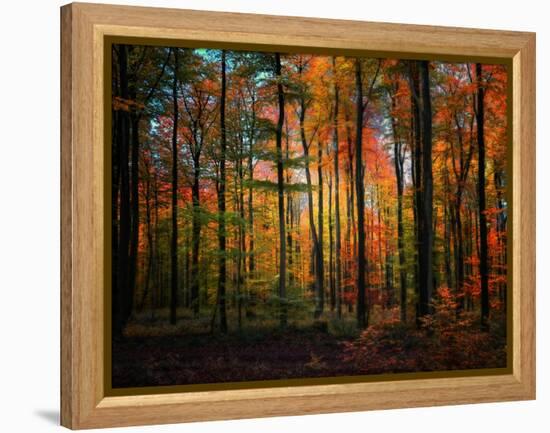 Crayons-Philippe Sainte-Laudy-Framed Premier Image Canvas