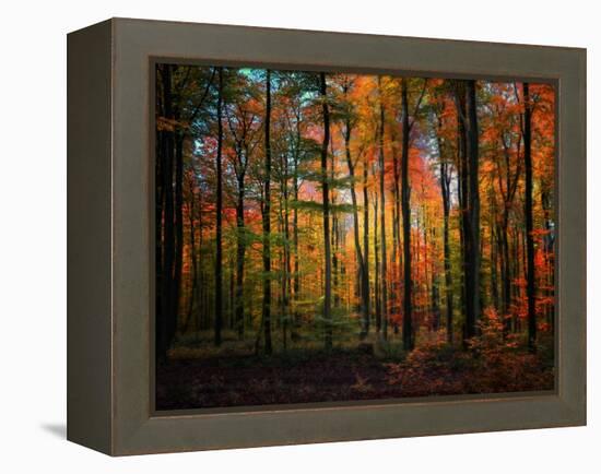 Crayons-Philippe Sainte-Laudy-Framed Premier Image Canvas