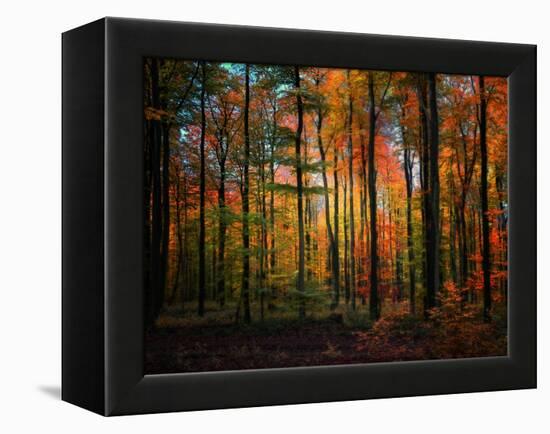Crayons-Philippe Sainte-Laudy-Framed Premier Image Canvas