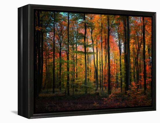 Crayons-Philippe Sainte-Laudy-Framed Premier Image Canvas