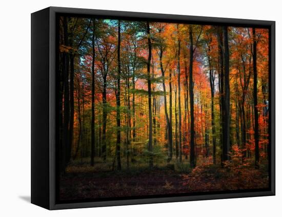 Crayons-Philippe Sainte-Laudy-Framed Premier Image Canvas