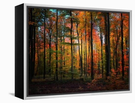 Crayons-Philippe Sainte-Laudy-Framed Premier Image Canvas