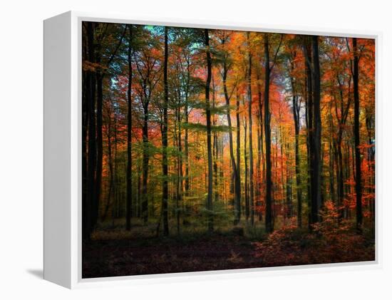 Crayons-Philippe Sainte-Laudy-Framed Premier Image Canvas