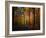 Crayons-Philippe Sainte-Laudy-Framed Photographic Print