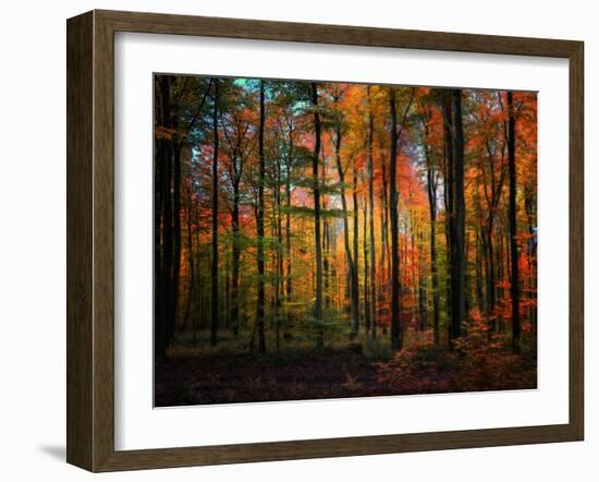 Crayons-Philippe Sainte-Laudy-Framed Photographic Print