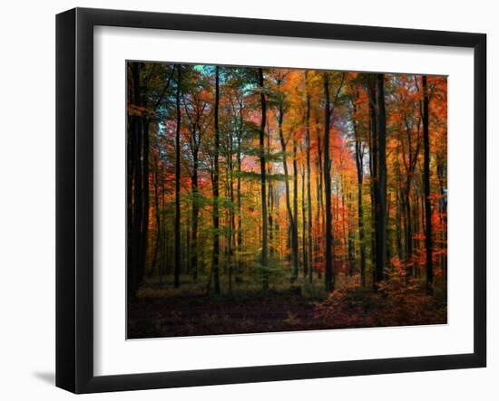Crayons-Philippe Sainte-Laudy-Framed Photographic Print