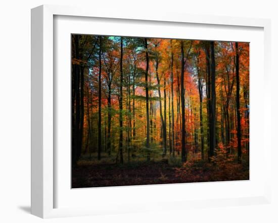 Crayons-Philippe Sainte-Laudy-Framed Photographic Print