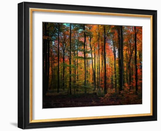 Crayons-Philippe Sainte-Laudy-Framed Photographic Print