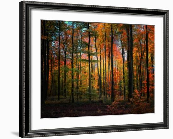 Crayons-Philippe Sainte-Laudy-Framed Photographic Print