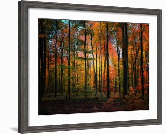 Crayons-Philippe Sainte-Laudy-Framed Photographic Print