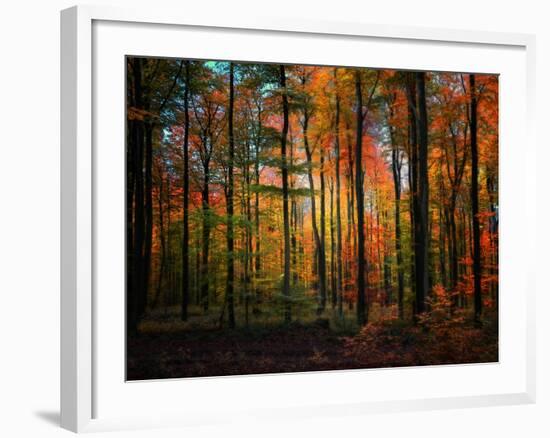 Crayons-Philippe Sainte-Laudy-Framed Photographic Print