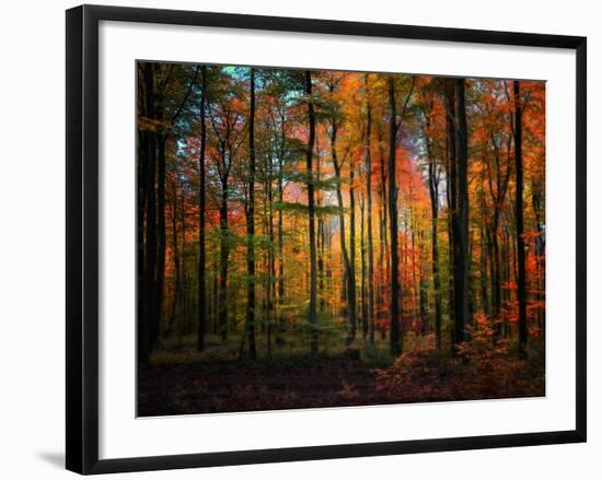 Crayons-Philippe Sainte-Laudy-Framed Photographic Print