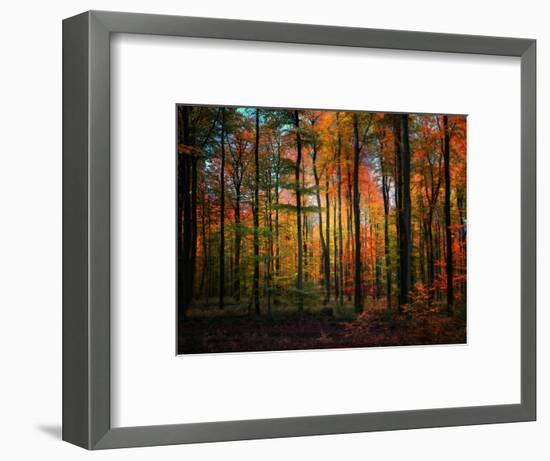 Crayons-Philippe Sainte-Laudy-Framed Photographic Print