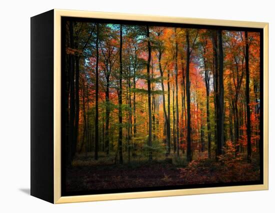 Crayons-Philippe Sainte-Laudy-Framed Premier Image Canvas