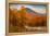 Crazy Autumn Color, White Mountains New Hampshire New England-Vincent James-Framed Premier Image Canvas