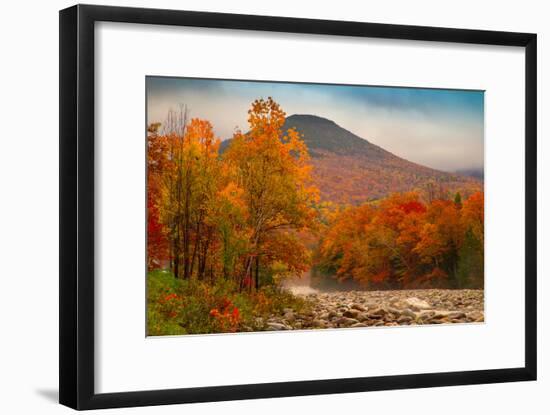 Crazy Autumn Color, White Mountains New Hampshire New England-Vincent James-Framed Photographic Print