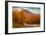 Crazy Autumn Color, White Mountains New Hampshire New England-Vincent James-Framed Photographic Print