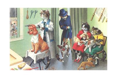 crazy cat dog grooming