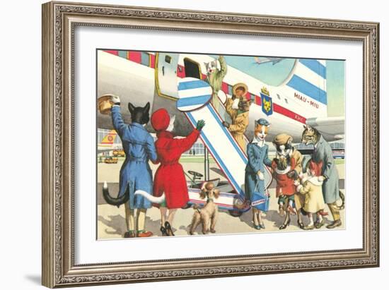 Crazy Cats Boarding Airplane-null-Framed Art Print