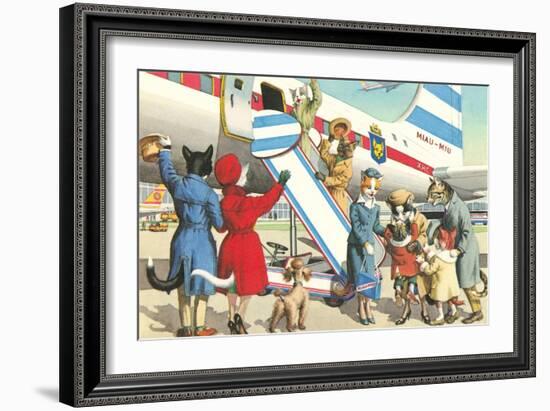 Crazy Cats Boarding Airplane-null-Framed Art Print