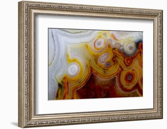 Crazy Lace Agate from Mexico-Darrell Gulin-Framed Photographic Print