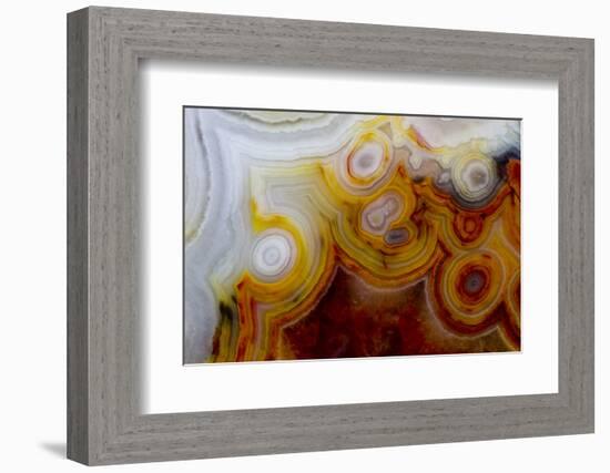 Crazy Lace Agate from Mexico-Darrell Gulin-Framed Photographic Print