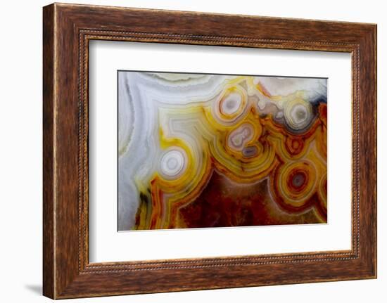 Crazy Lace Agate from Mexico-Darrell Gulin-Framed Photographic Print