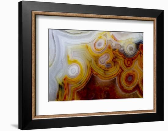 Crazy Lace Agate from Mexico-Darrell Gulin-Framed Photographic Print