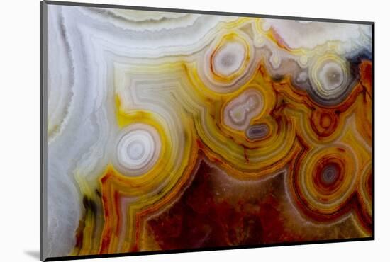 Crazy Lace Agate from Mexico-Darrell Gulin-Mounted Photographic Print