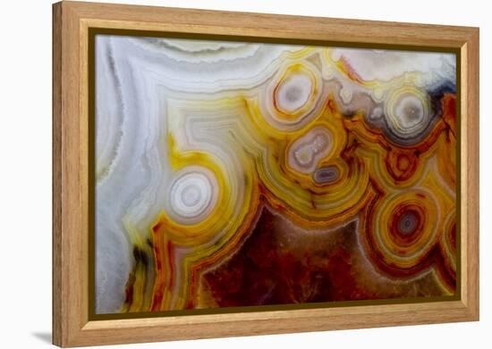 Crazy Lace Agate from Mexico-Darrell Gulin-Framed Premier Image Canvas