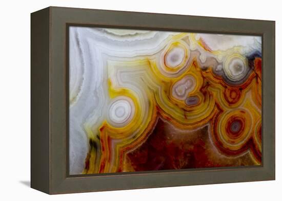 Crazy Lace Agate from Mexico-Darrell Gulin-Framed Premier Image Canvas
