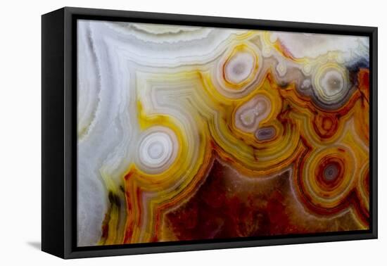 Crazy Lace Agate from Mexico-Darrell Gulin-Framed Premier Image Canvas