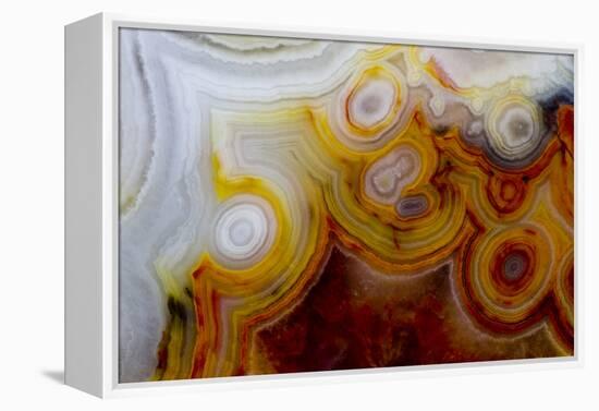 Crazy Lace Agate from Mexico-Darrell Gulin-Framed Premier Image Canvas