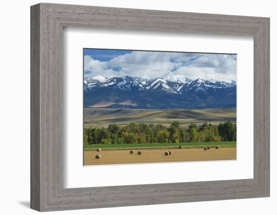 Crazy Mountains near Wilsall, Montana.-Alan Majchrowicz-Framed Photographic Print