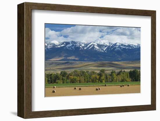 Crazy Mountains near Wilsall, Montana.-Alan Majchrowicz-Framed Photographic Print