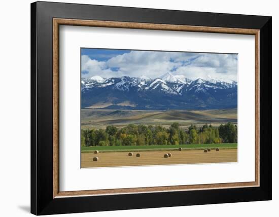 Crazy Mountains near Wilsall, Montana.-Alan Majchrowicz-Framed Photographic Print