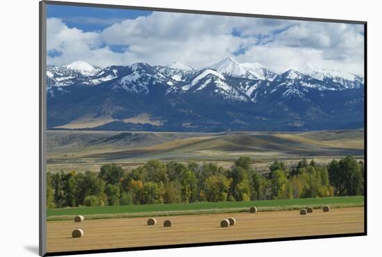 Crazy Mountains near Wilsall, Montana.-Alan Majchrowicz-Mounted Photographic Print