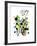 Crazy Zebra-Laure Girardin-Vissian-Framed Giclee Print