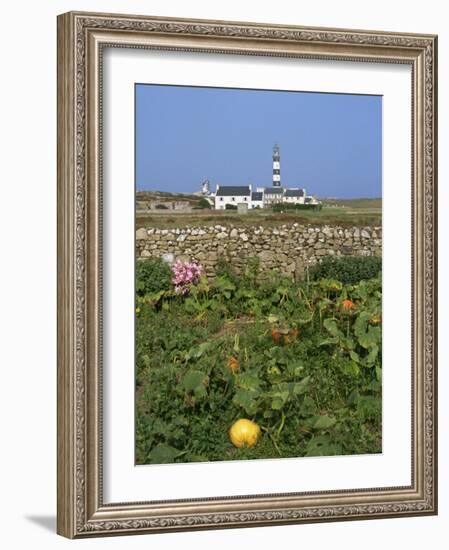 Creac'H Lighthouse, Ouessant Island, Finistere, Brittany, France, Europe-Thouvenin Guy-Framed Photographic Print