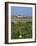 Creac'H Lighthouse, Ouessant Island, Finistere, Brittany, France, Europe-Thouvenin Guy-Framed Photographic Print